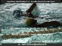 17516 photo